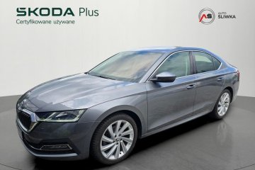 Webasto, DCC, Pełny Winter, Martwe Pola, Aktywny Tempomat, Matrix...